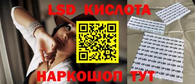 прущие крисы Бердск